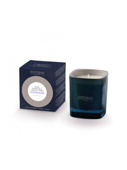 Rosa Blanca Y Absolu D´Iris vela Esteban