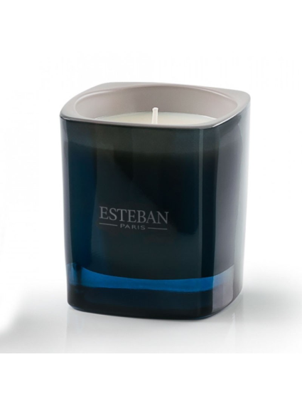 Rosa Blanca Y Absolu D´Iris vela Esteban