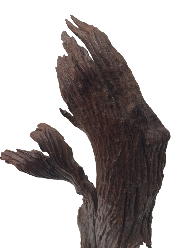 Escultura Étnica decorativa corteza 60B