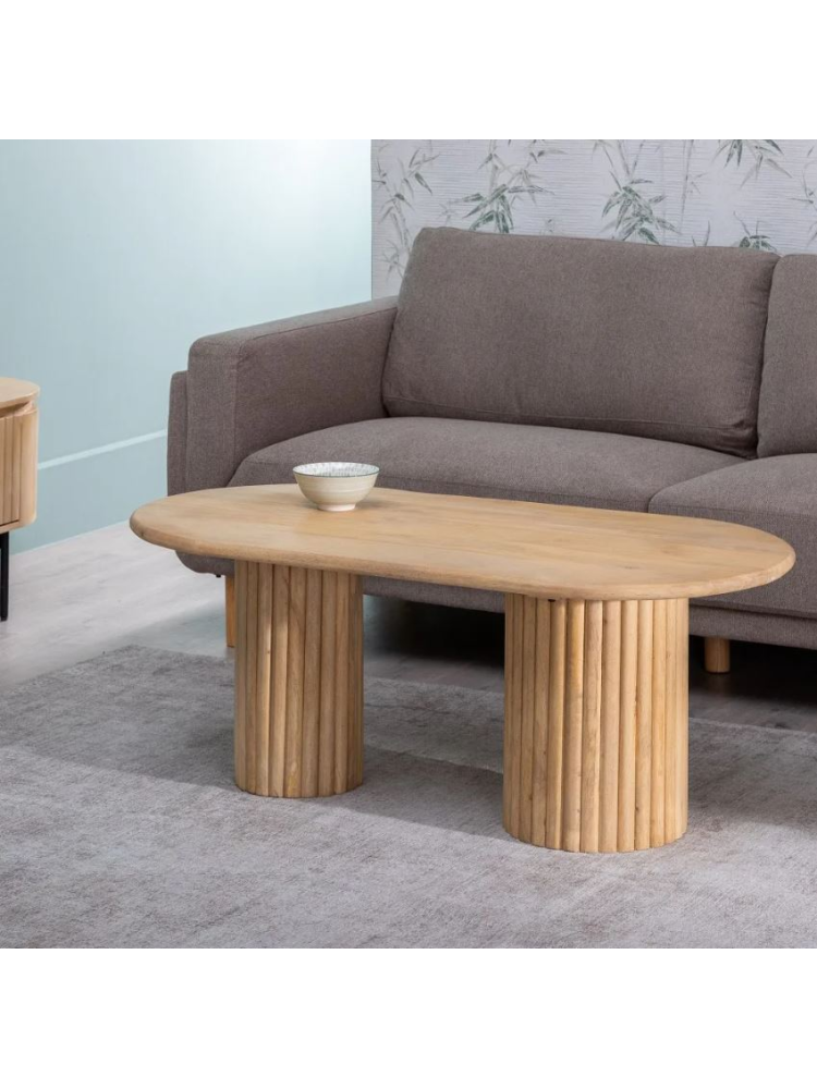 Mesa de centro 120x60x45 cms mango