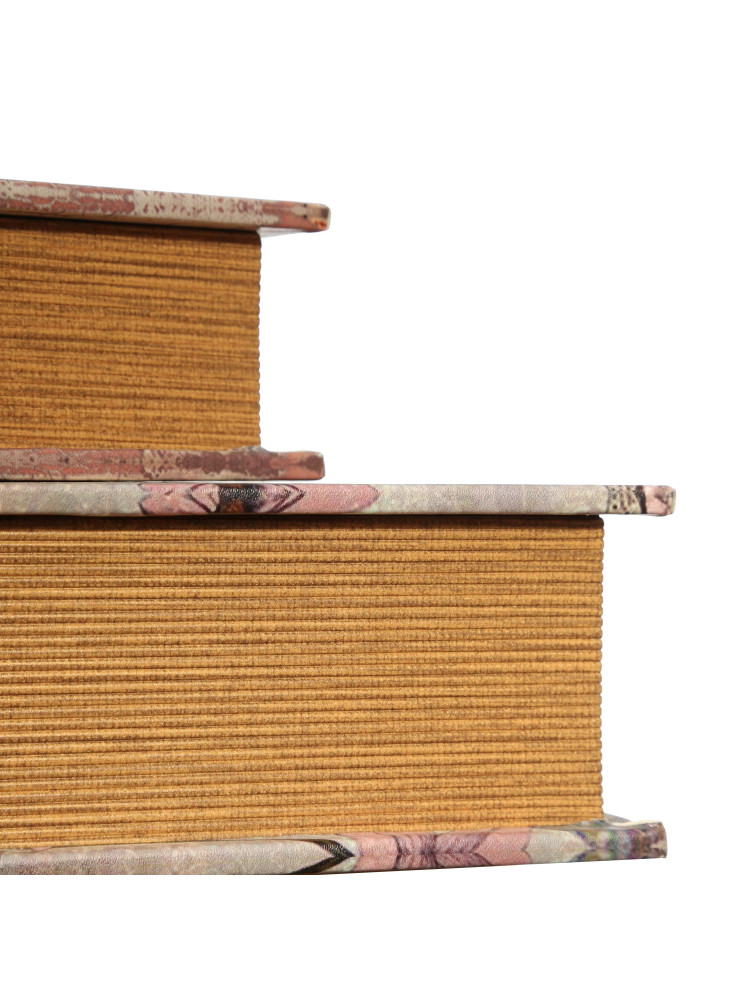 Set 2 Cajas Libro Tortuga