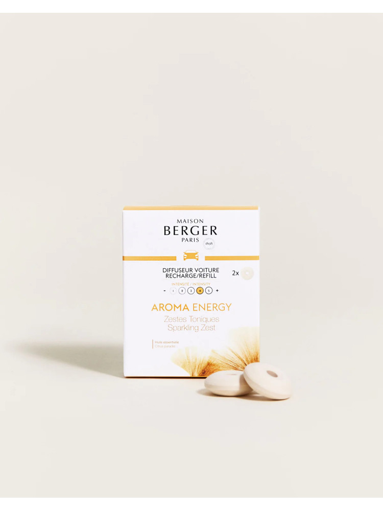 Recarga coche ENERGY lampe berger pack 2