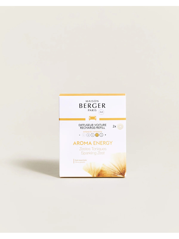 Recarga coche ENERGY lampe berger pack 2