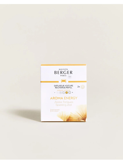 Recarga coche ENERGY lampe berger pack 2