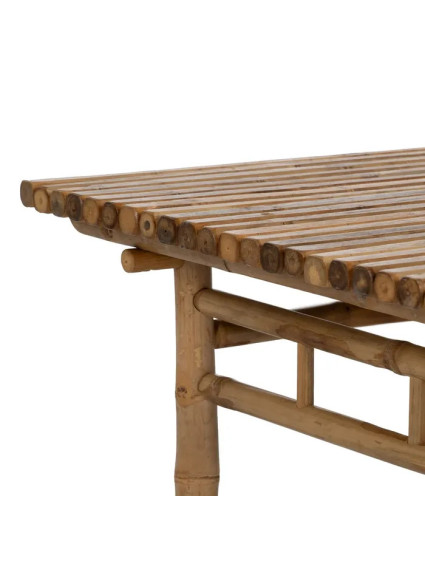 JUNCO 100 X 70 mesa centro grande bambú