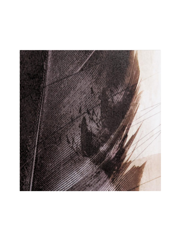 Cuadro PLUMA Crema 100 x 140