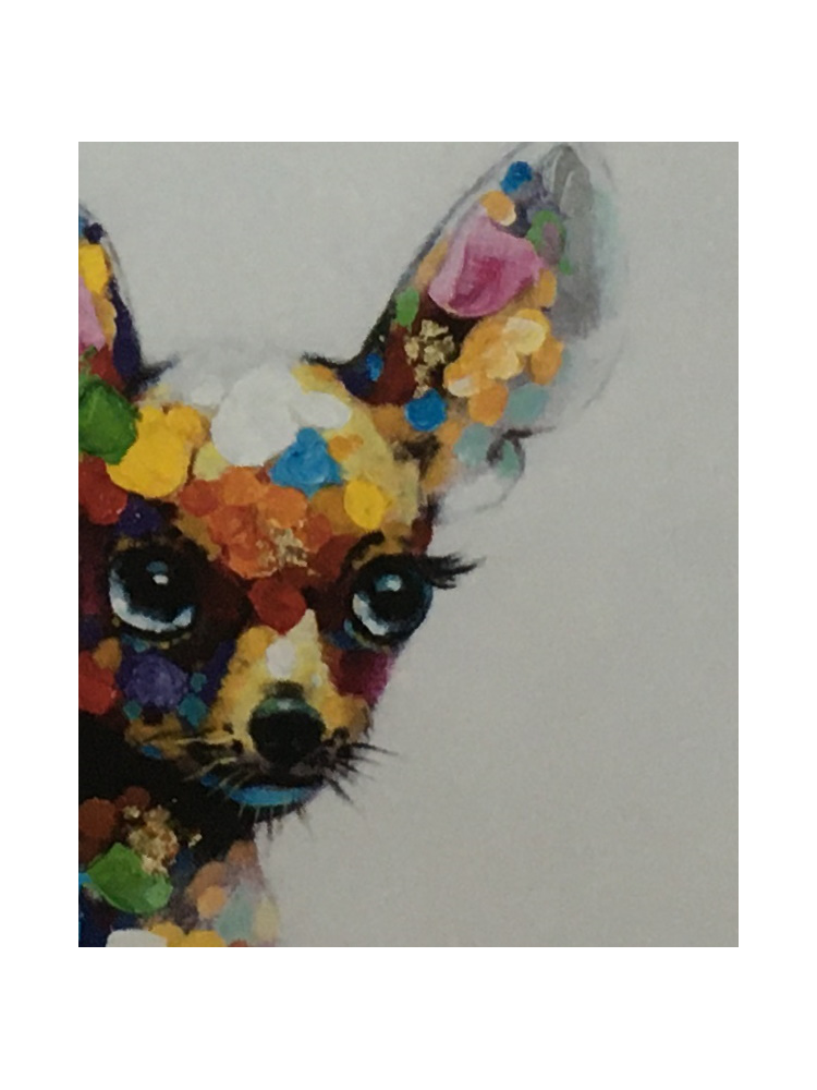 Lienzo CHIHUAHUA Multicolor