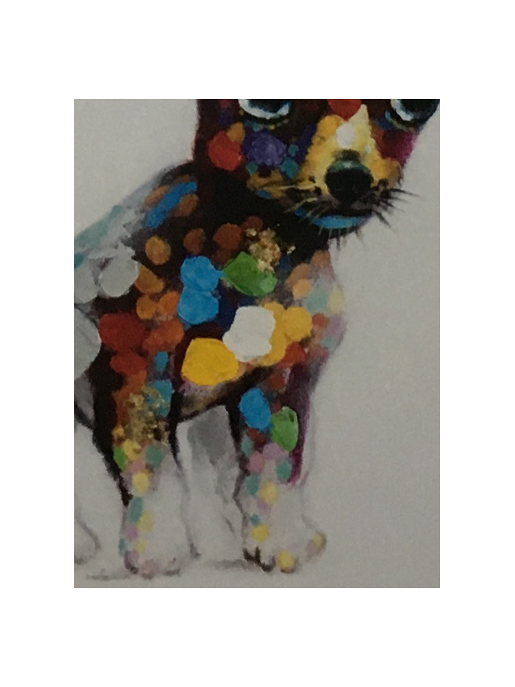 Lienzo CHIHUAHUA Multicolor