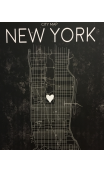 Cuadro Mapa NEW YORK LEDS 113