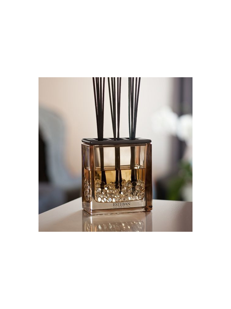 Leyendas de Oriente 250ml Recarga Esteban