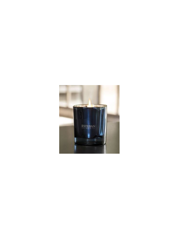 CACHEMIRA Y AMBAR GRIS vela