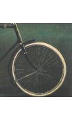 Cuadro TRIUMPH Bicicleta 85