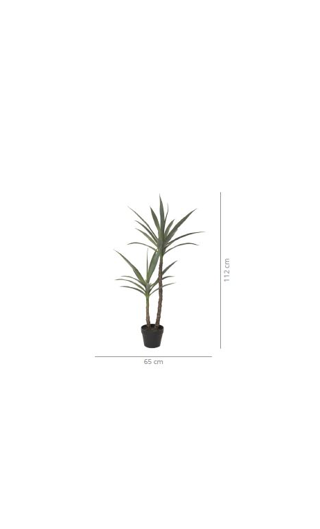 Planta YUCA 112 cms