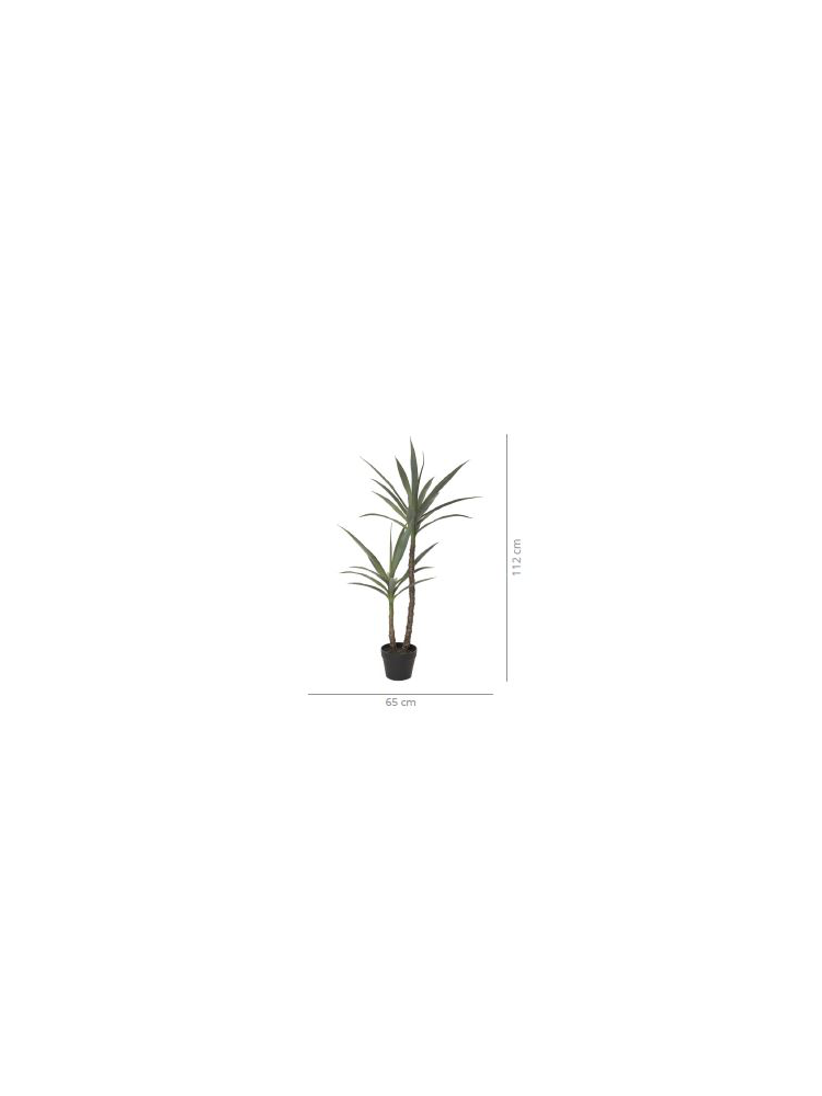 Planta YUCA 112 cms