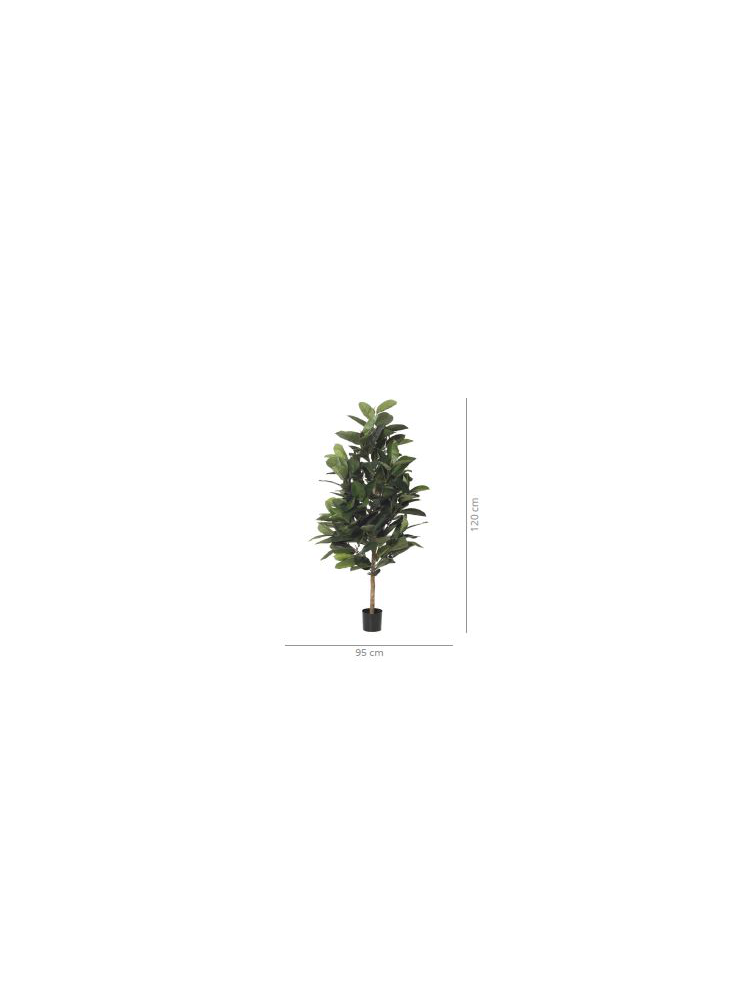 Árbol FICCUS RUBBER 120 cms Árbol FICCUS RUBBER 120 cms