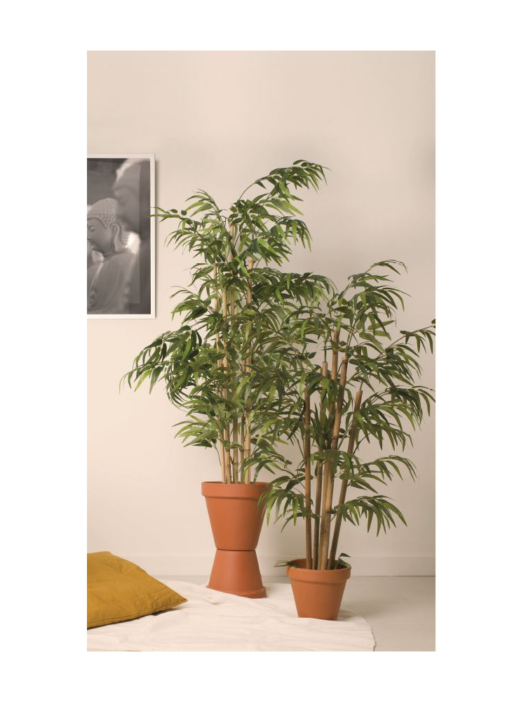 Árbol BAMBU 180cms