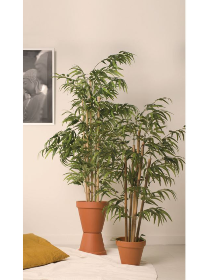 Árbol BAMBU 180cms